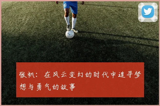张帆：在风云变幻的时代中追寻梦想与勇气的故事