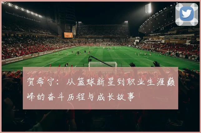 贺希宁：从篮球新星到职业生涯巅峰的奋斗历程与成长故事