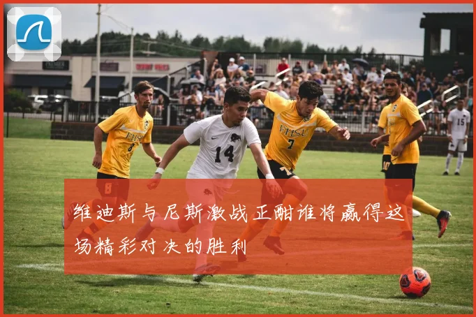 维迪斯与尼斯激战正酣谁将赢得这场精彩对决的胜利
