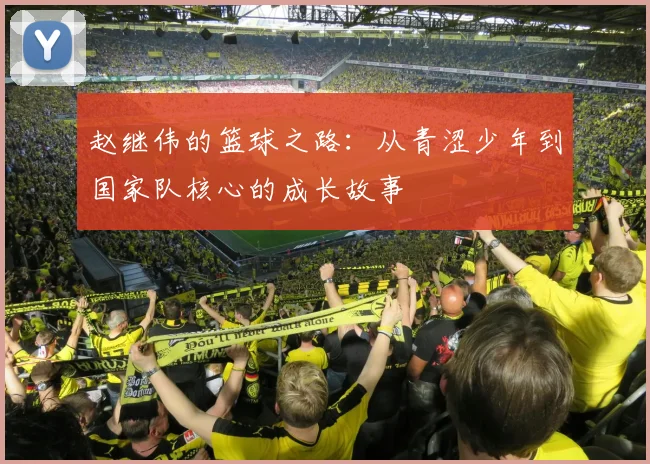 赵继伟的篮球之路：从青涩少年到国家队核心的成长故事